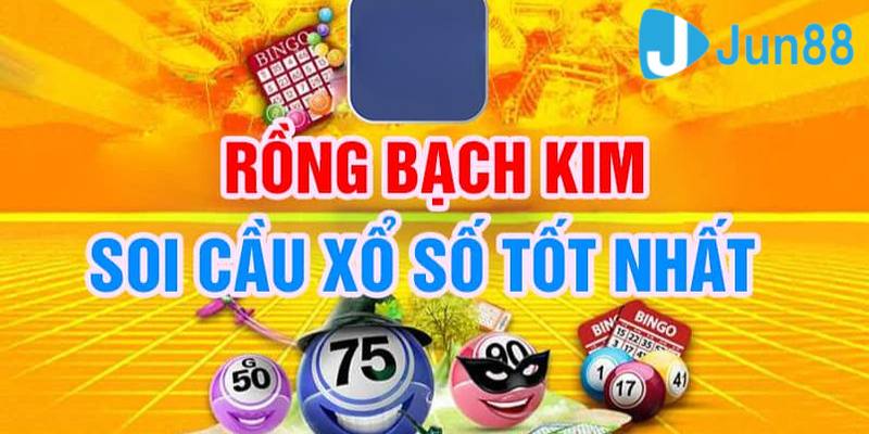 Những chú ý khi cập nhật nội dung từ Rồng Bạch Kim